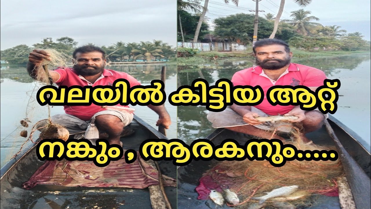 വലയിൽ കിട്ടിയ ആറ്റ് നങ്കും , ആരകനും.....@LD AND RD MEDIA