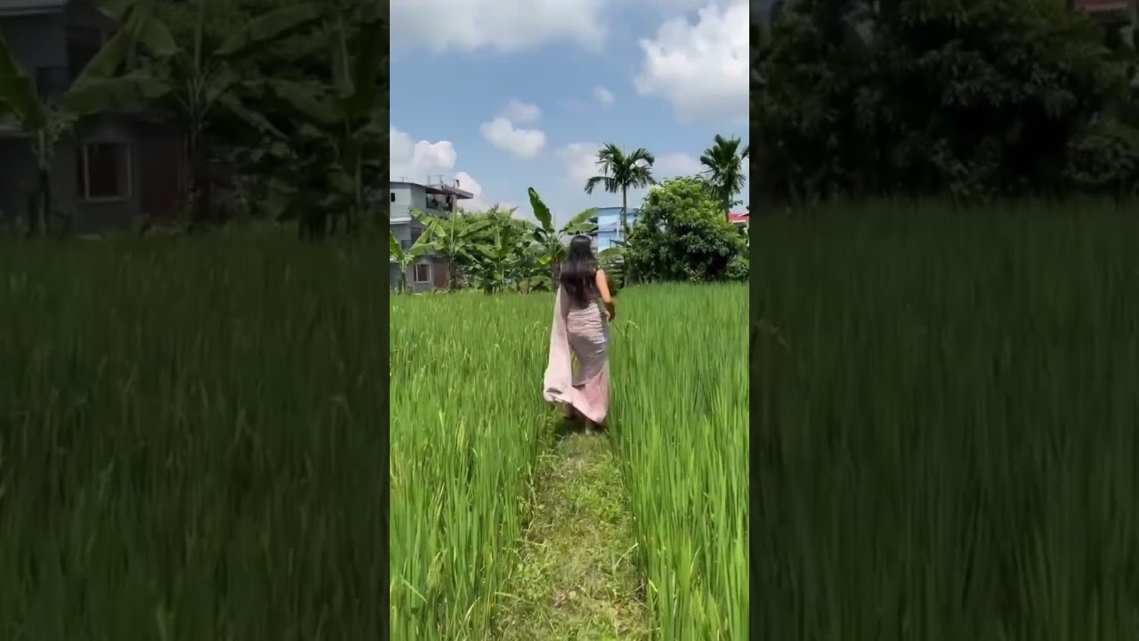 💐❤️#foryou #reelshorts #keepconnected #nature #fypyoutube #supportmychannel