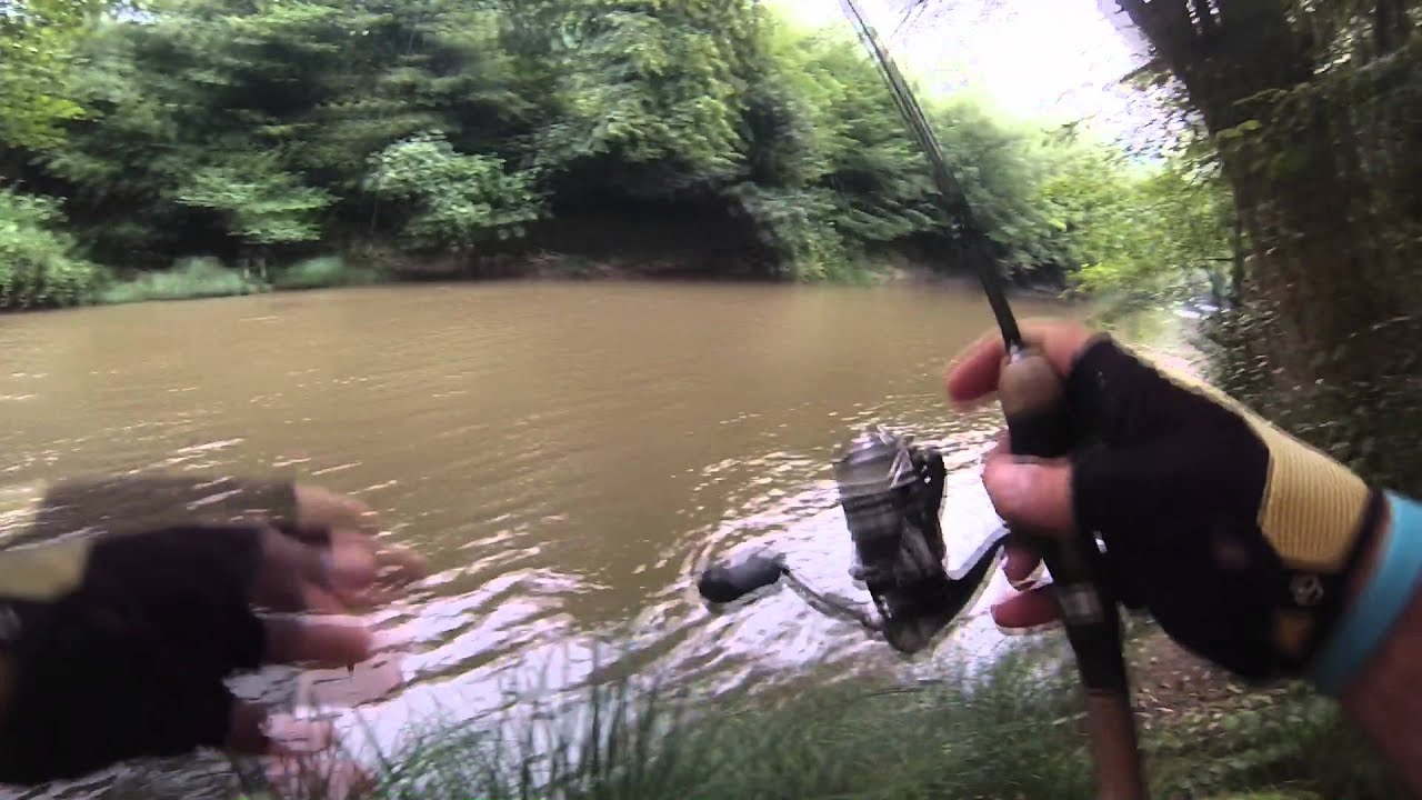 ტურნირი მდ. ძირულაზე / Spin Fishing Competition at riv. Dzirula