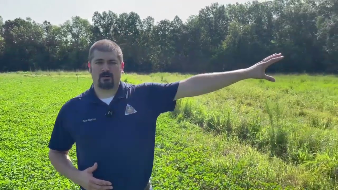Habitat Hints: Food Plots