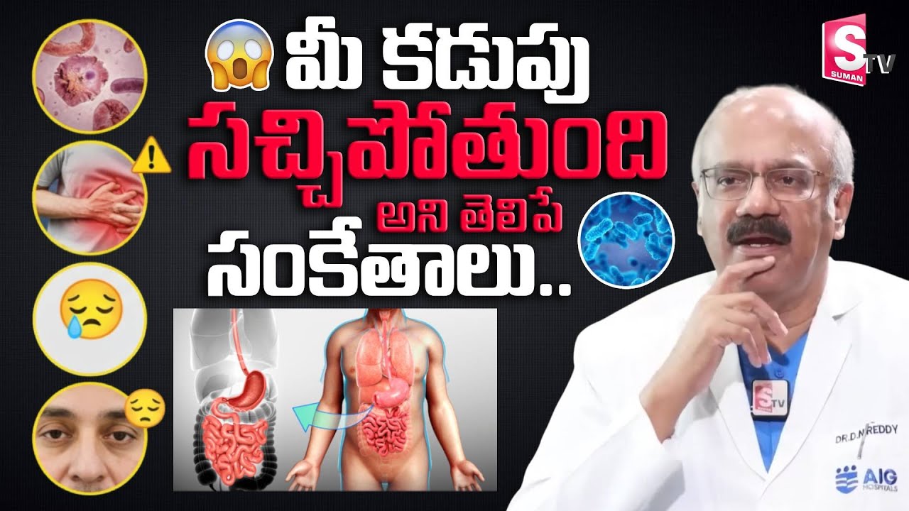 మీ కడుపు సచ్చిపోతుంది అని తెలిపే సంకేతాలు! Dr.Nageswar Reddy | Anchor Nirupama | PlayEven #guthealth