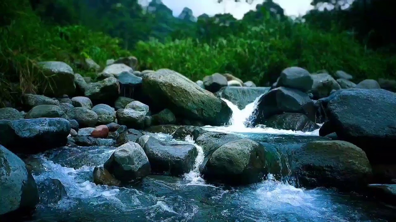 🌊 Tranquil River Water ASMR for Deep Sleep, Meditation & Relaxation