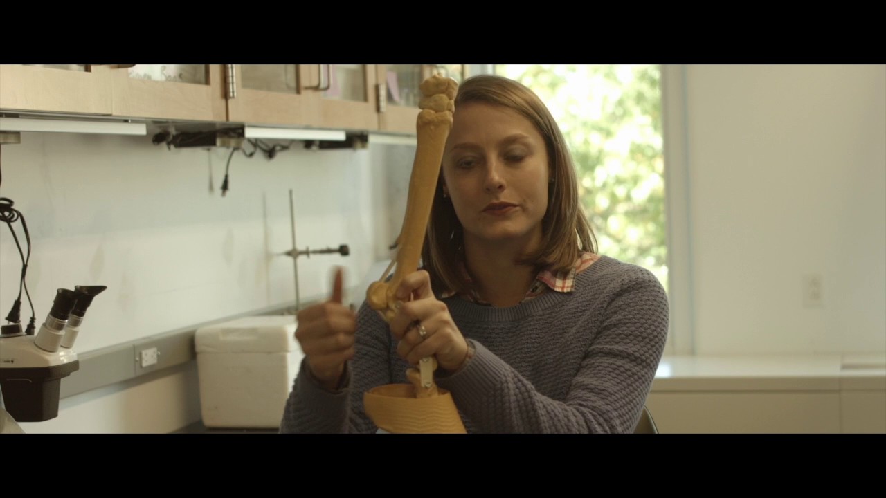 Explaining Orthopaedic Research