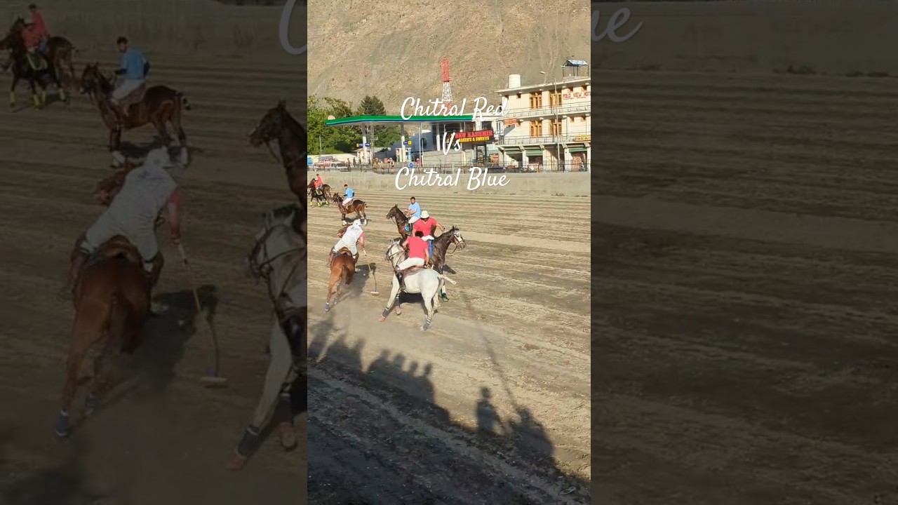 Chitral Freestyle PoloMatch Chitral Red vs Chitral Blue #polo #horse #sportsinpakistan #polomatch