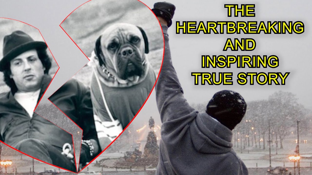 The Heartbreaking & Inspiring True Story of Sylvester Stallone | Rags To Riches