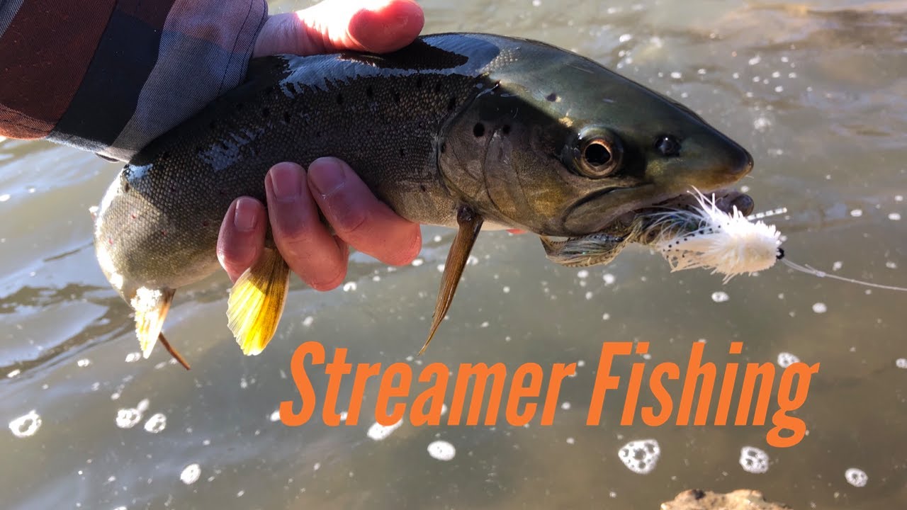 Minnesota Streamer Fishing 