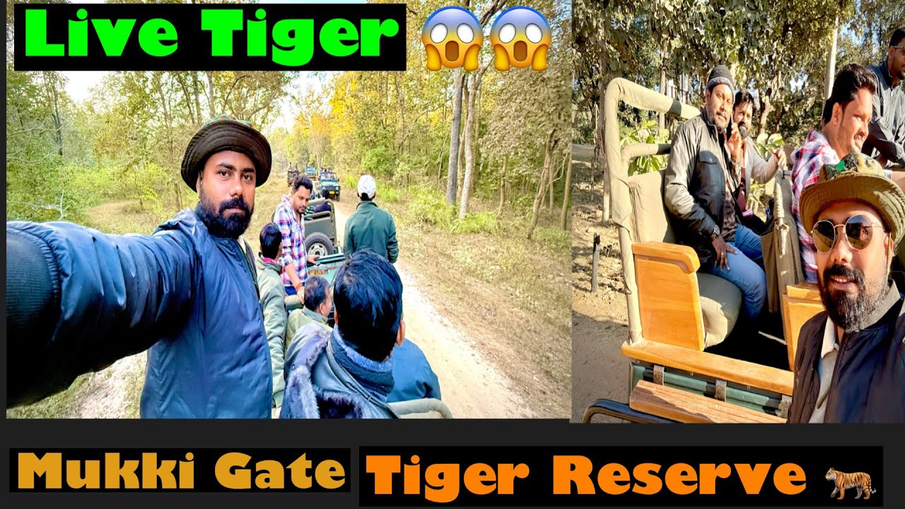 Day-2 Kanha keshli 😊Samne se Tiger Dekha😱 Aj Ka kismat bahut accha tha 😂