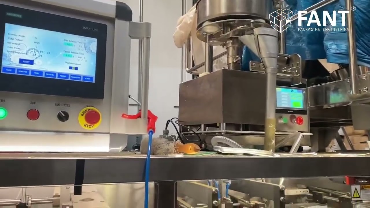 Horizontal Form Fill and Seal Wrapping Machine