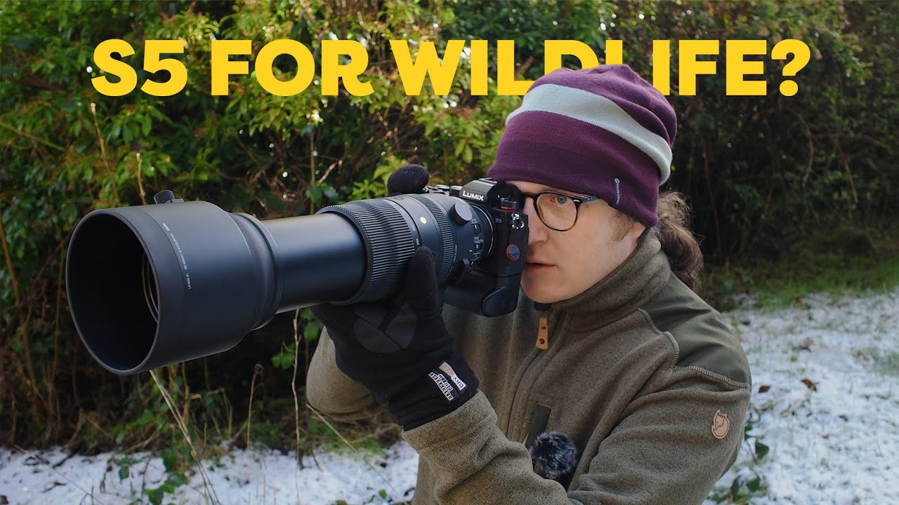 Wildlife Photography with the Panasonic S5? / Comparison with the OM-1
