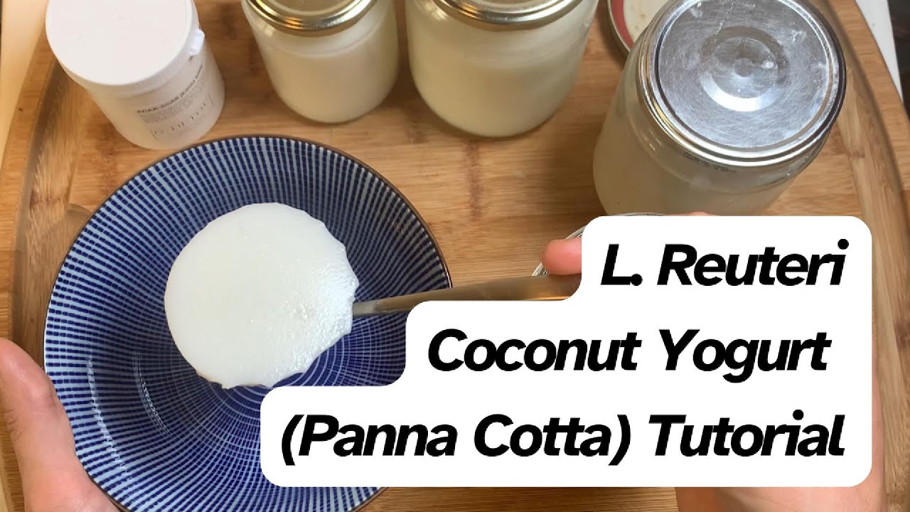 L. Reuteri Coconut Yogurt/ Panna Cotta Tutorial