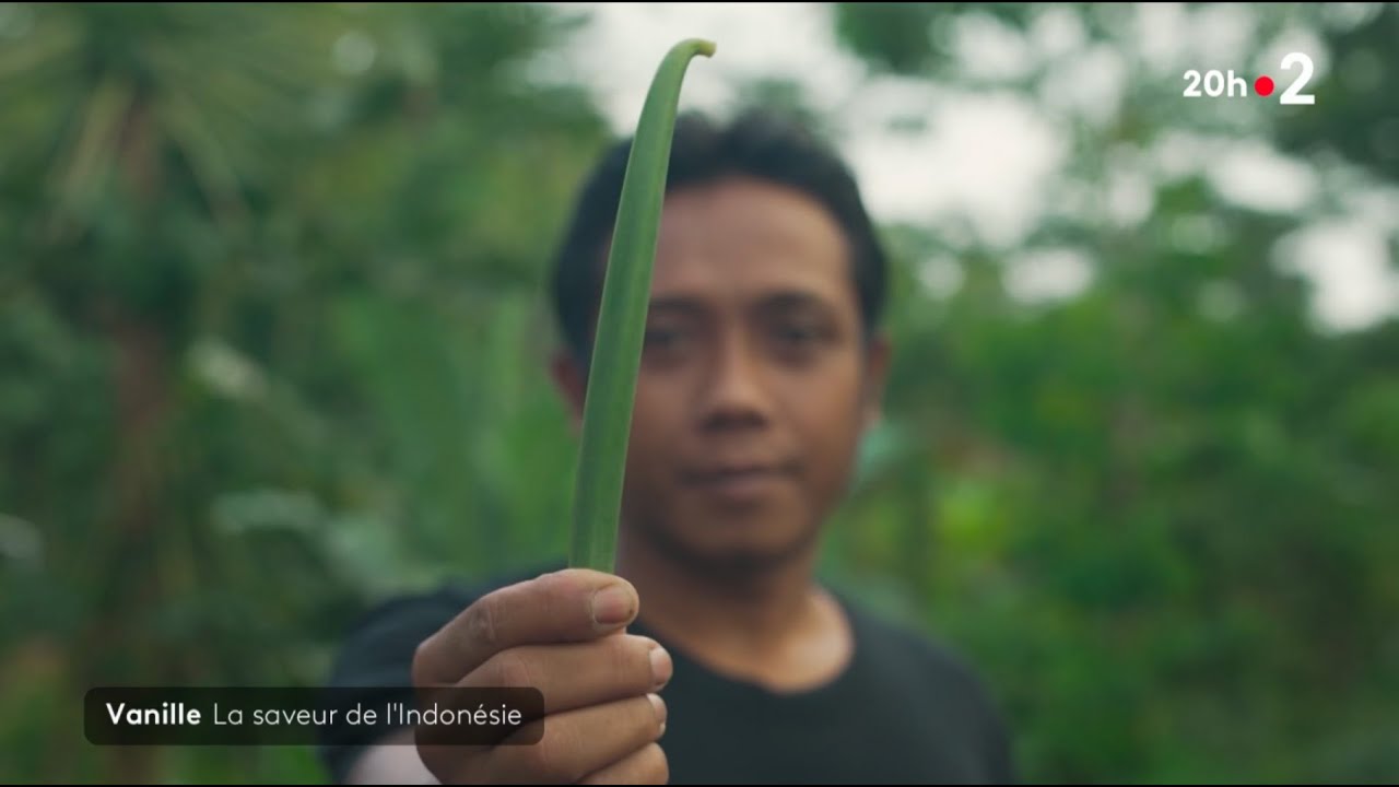 Vanille, la saveur de l'Indonésie