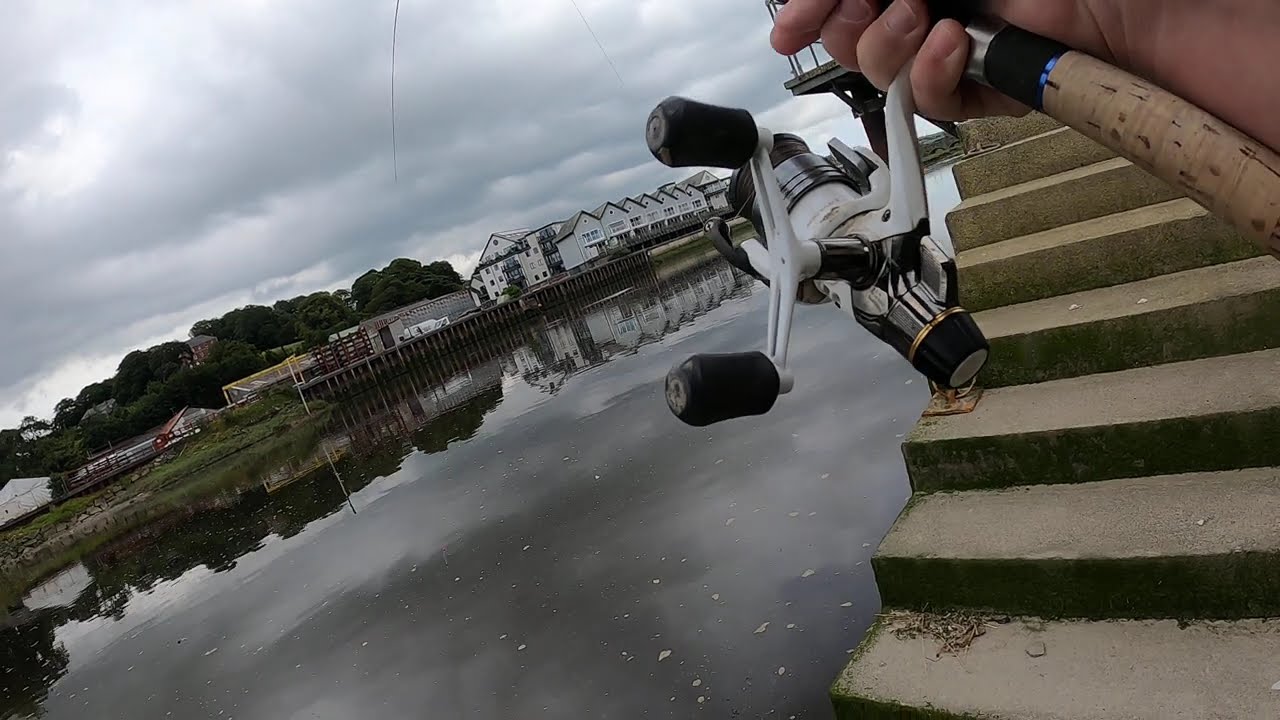 Mullet fishing, River Camel 17th July 2024