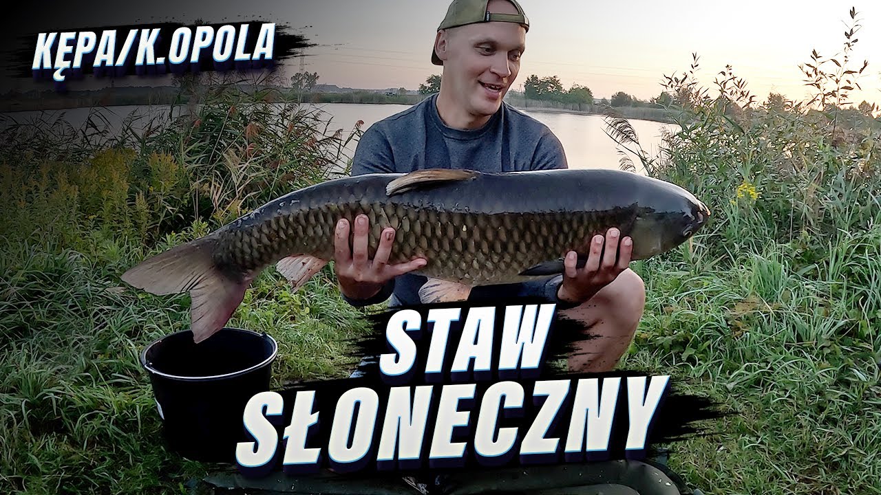 Tutaj Złowisz Piękne Amury Oraz Karpie-Staw Słoneczny Kępa K.Opola