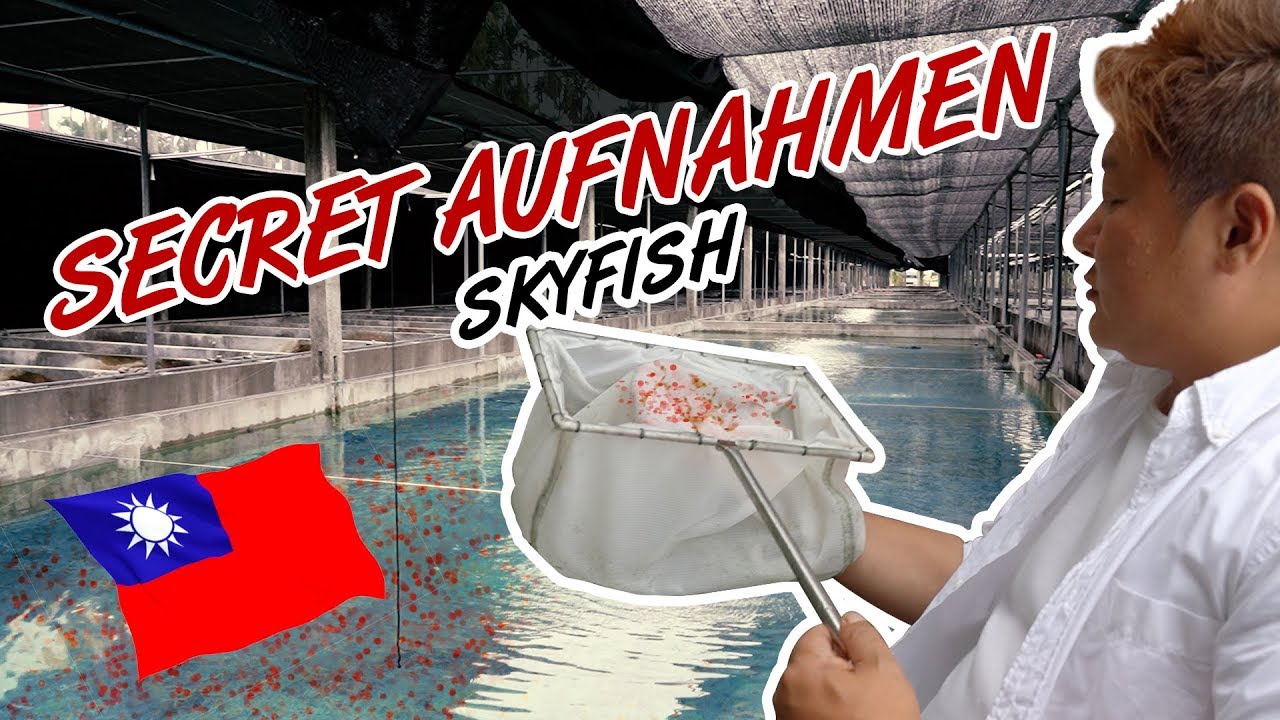 👁Skyfish Secret Insights | Die größte Outdoor Shrimpfarm der Welt 🌍