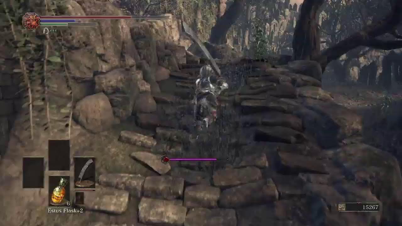 DS3 #12