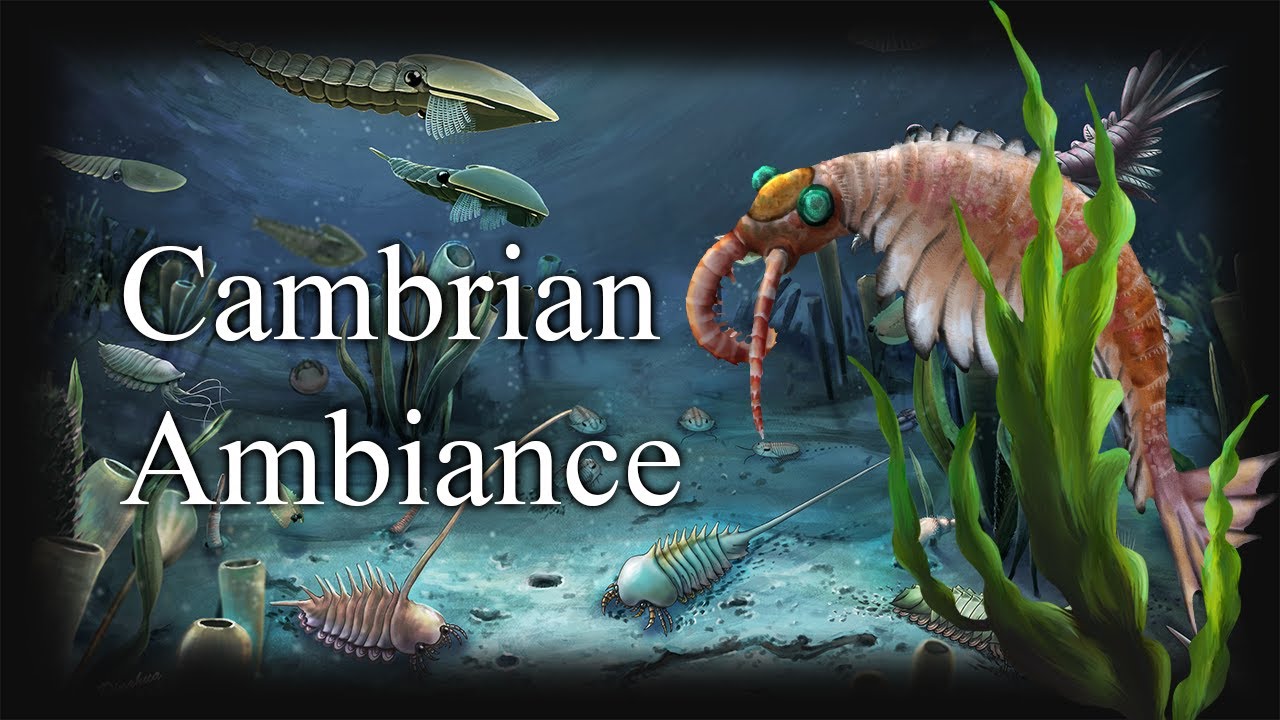 🌊✨Cambrian Ambiance For Your Paleozoic Soul | Relax, Meditate, Shower, Sleep & More | 1 Hour 🦐