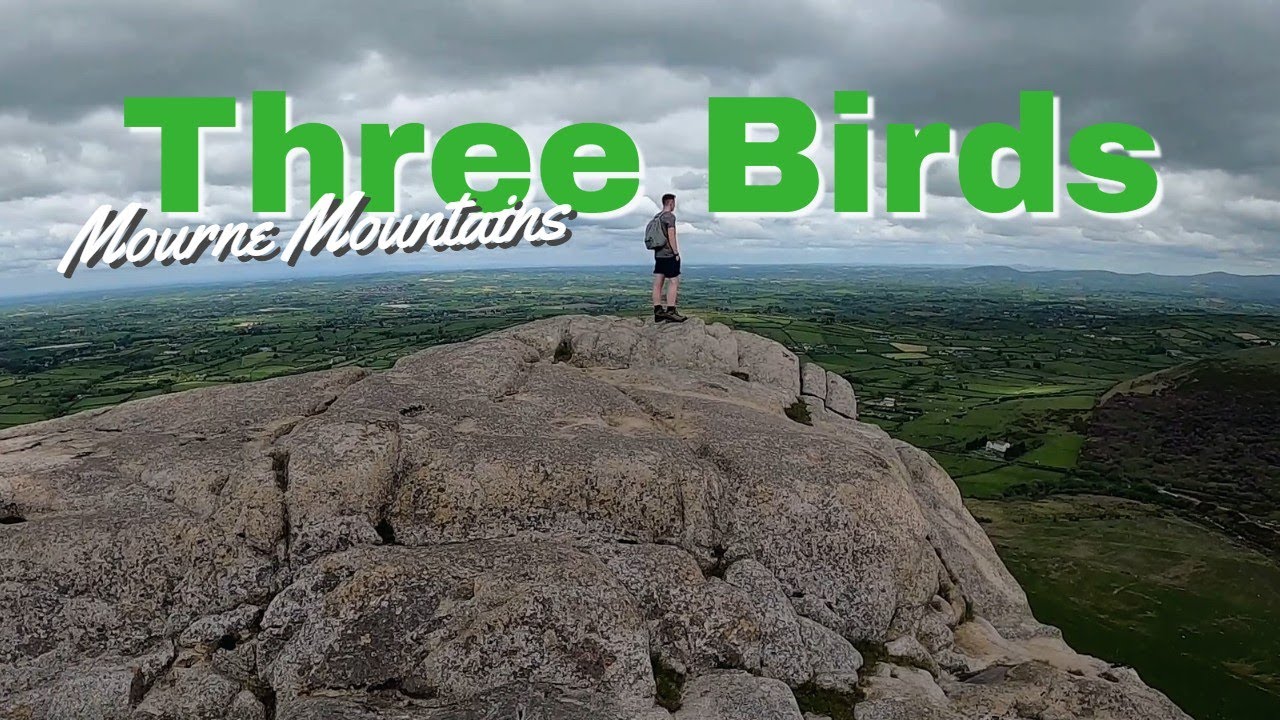 Conquering Mourne's Feathered Trio in One Epic Adventure!