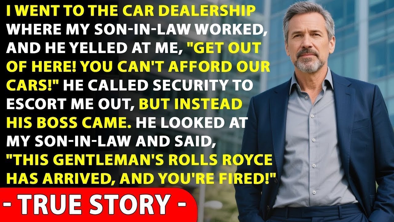 My Son In Law Kicked Me Out Of The Car Dealership Where He Worked, But When His Boss Saw Me
