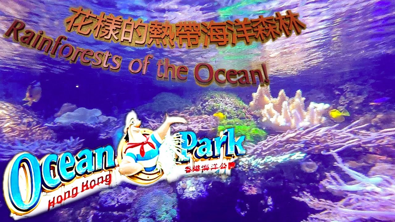 RAINFORESTs OF THE OCEAN! GRAND AQUARIUM OCEAN PARK HONGKONG