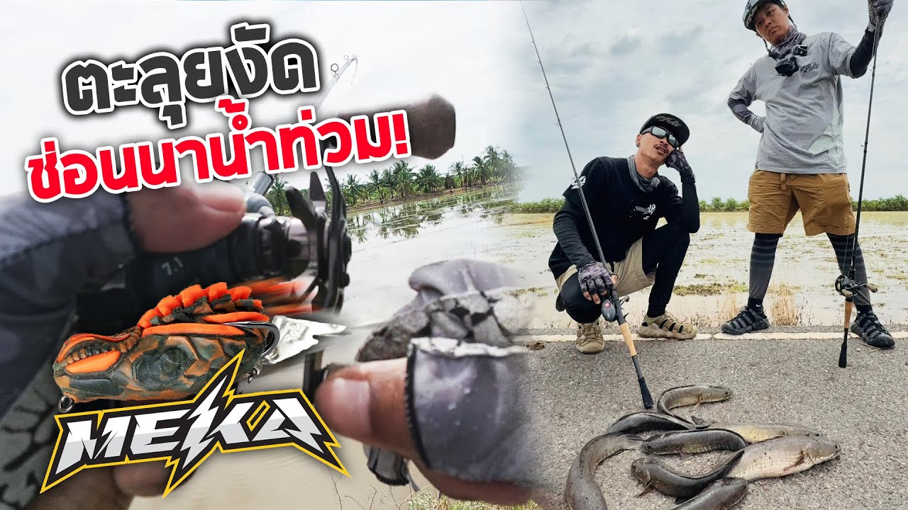 ตะลุยงัดช่อนนาน้ำท่วมใหม่ๆ บ้านสร้าง หมายมหาชน !!