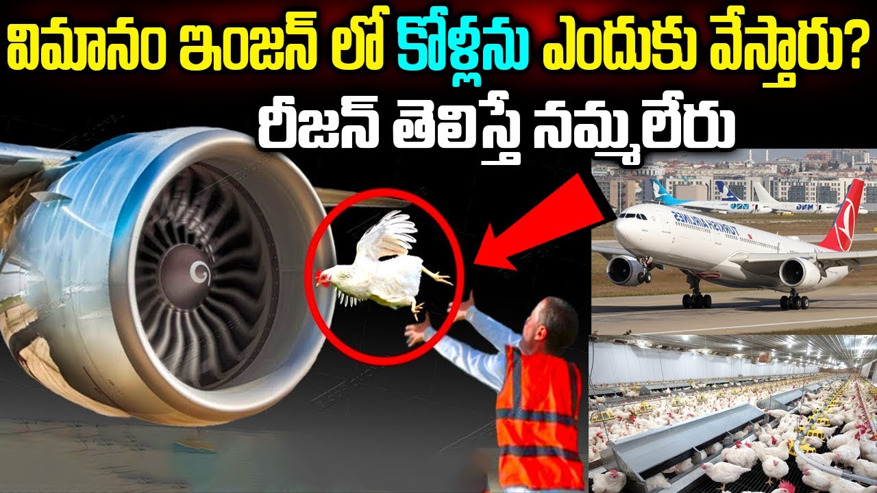 Aeroplane Engine Testing Process | విమానం ఇంజన్ లో కోళ్లను ఎందుకు వేస్తారు? | #unknownfacts #facts