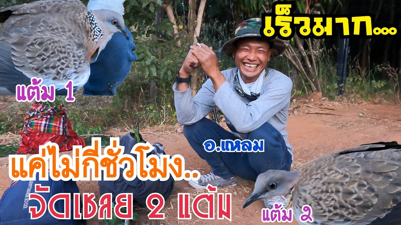 แค่ไม่กี่ชั่วโมง…จัดเชลย 2 แต้ม ต่อนกเขาใหญ่