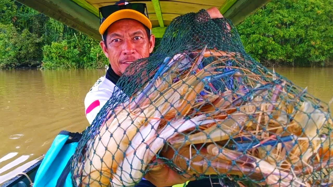 Spot andalan kembali gacorr ketua!!! Panen udang galah besar saat mancing udang#mancingudanggalah 