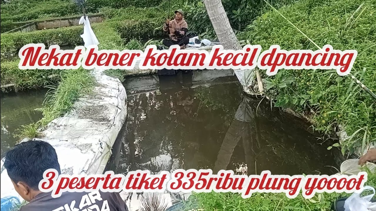 EMANG NEKAT KOLAM KECIL ##DIPANCING 3 PEERTA , TERNYATA IKANY BANYAK SEKALI ##  TIKET PERORANG 335 R