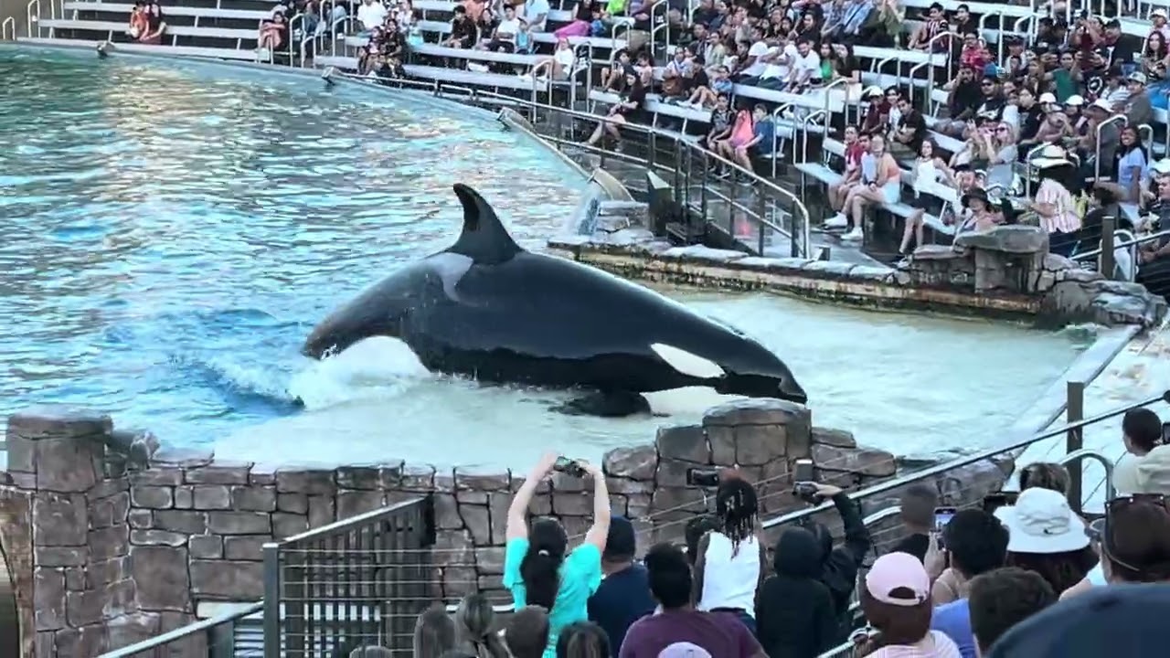 San Diego. SeaWorld. 2022. 