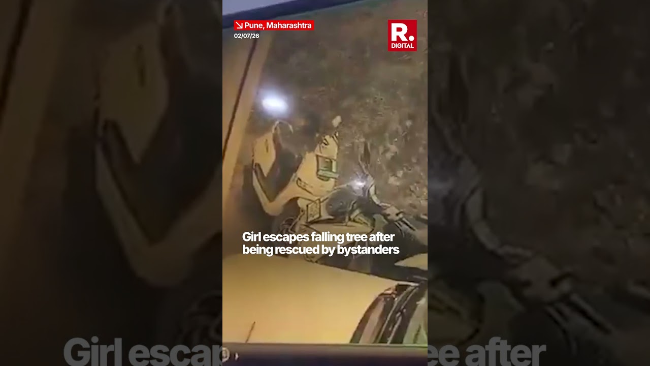 Exact Moment: Girl Escapes Falling Tree After Bystanders Rescue Her | On Camera