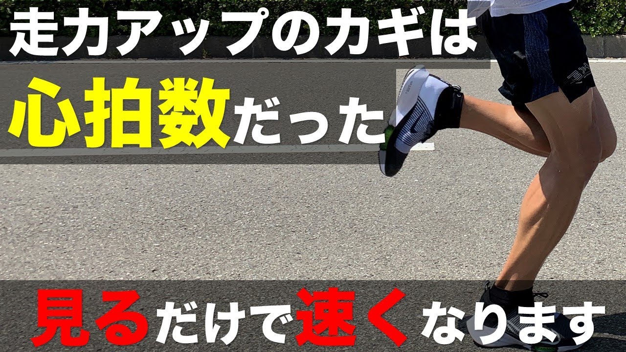 【超重要】9割が知らない走力向上の為の心拍数活用法