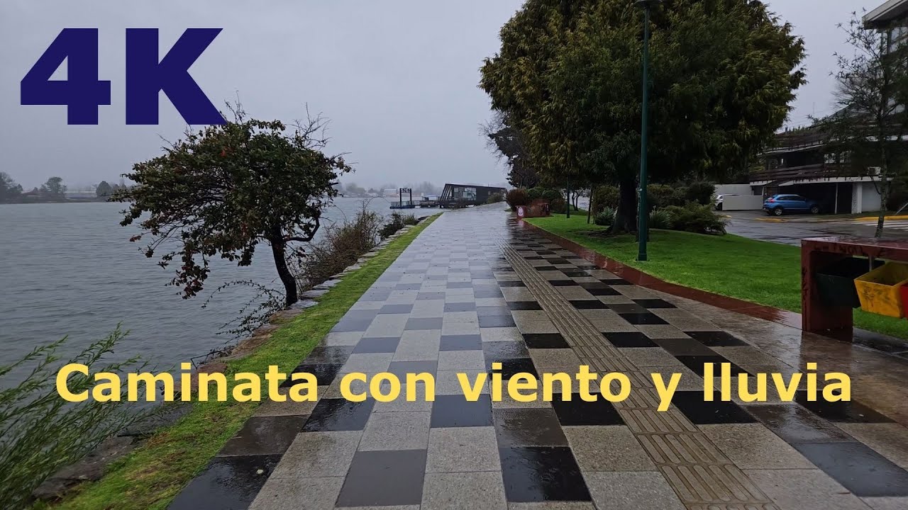 Valdivia-Chile: Caminata bajo la lluvia con algo de viento, video 4k.