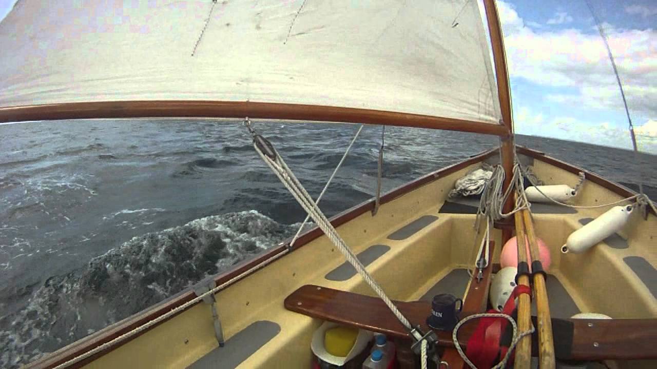 Chasing Dolphins Sailing a Picarooner
