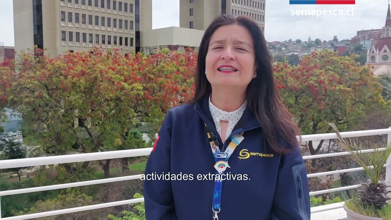 Cápsula Algas