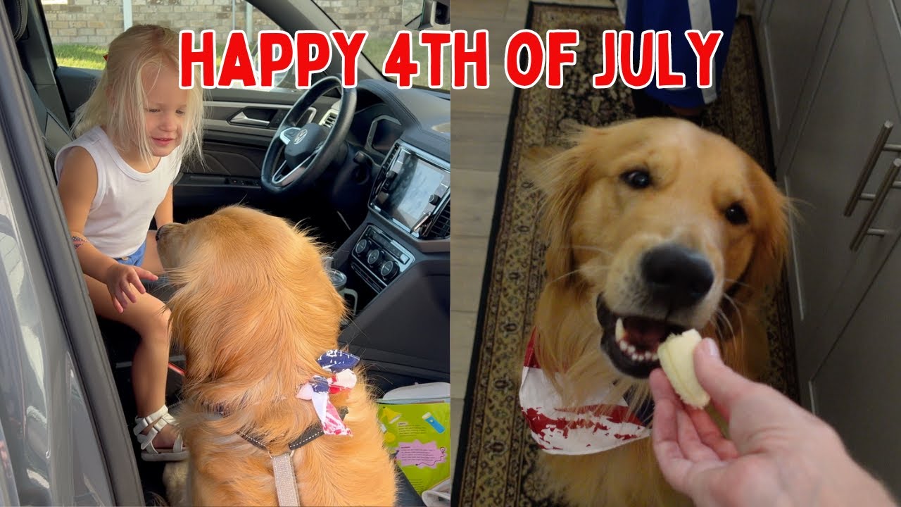 VLOG | Fourth of July with my golden retriever!