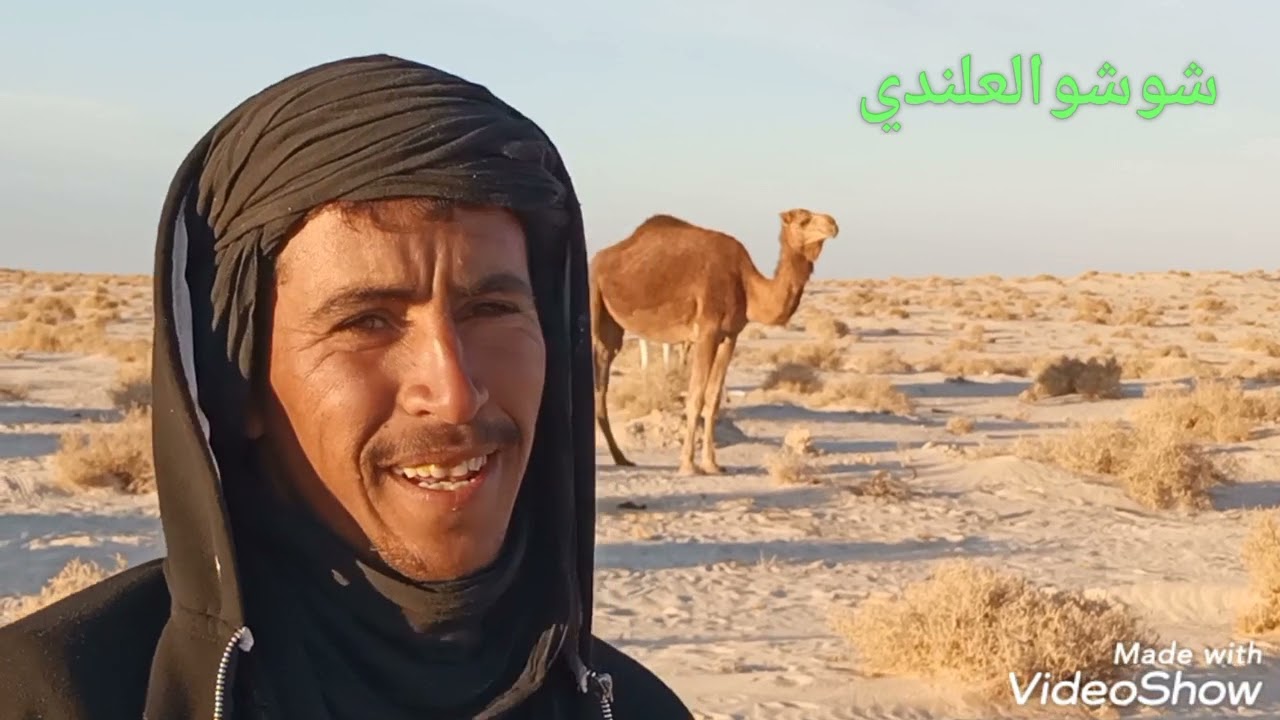 شاهد الفيديو الجديد 2022شاعر البدوي السوفي عادل القطاوي ولد البادية