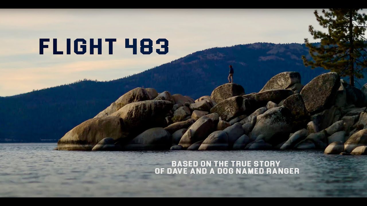 FLIGHT 483 / THE STORY OF A DOG AND A MAN / LIFE IN SIGHT