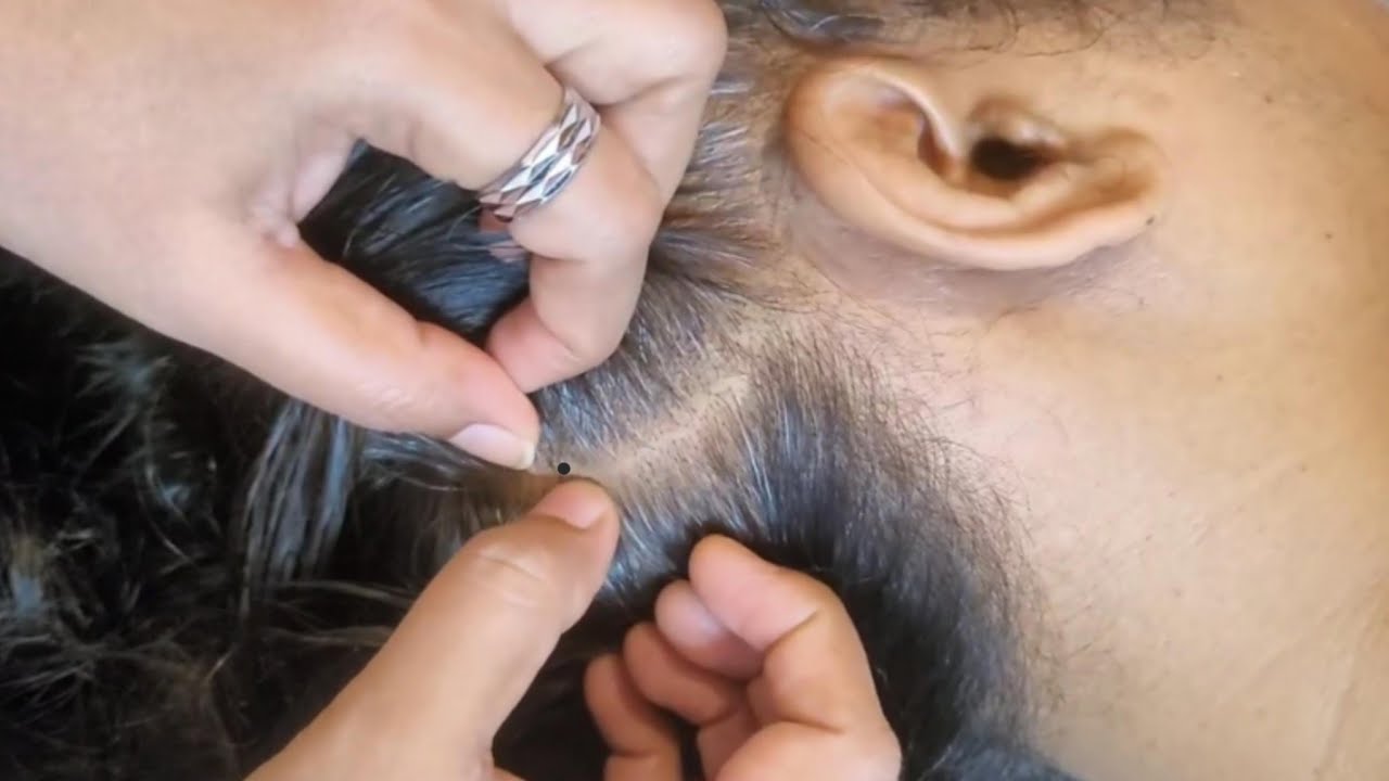 Scalp Check ASMR: The Ultimate Relaxation Experience