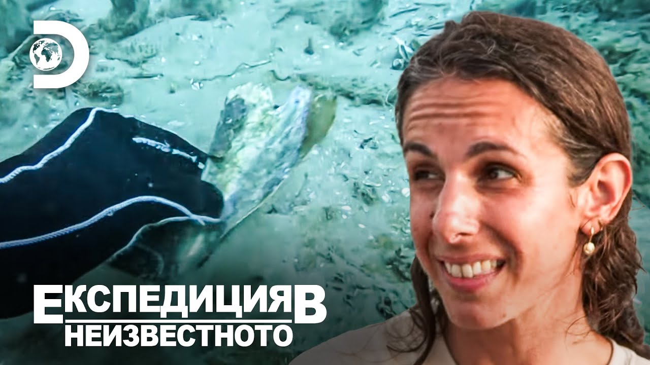 Може ли самолетната катастрофа да е на дъното на океана? | Експедиция в непознатото