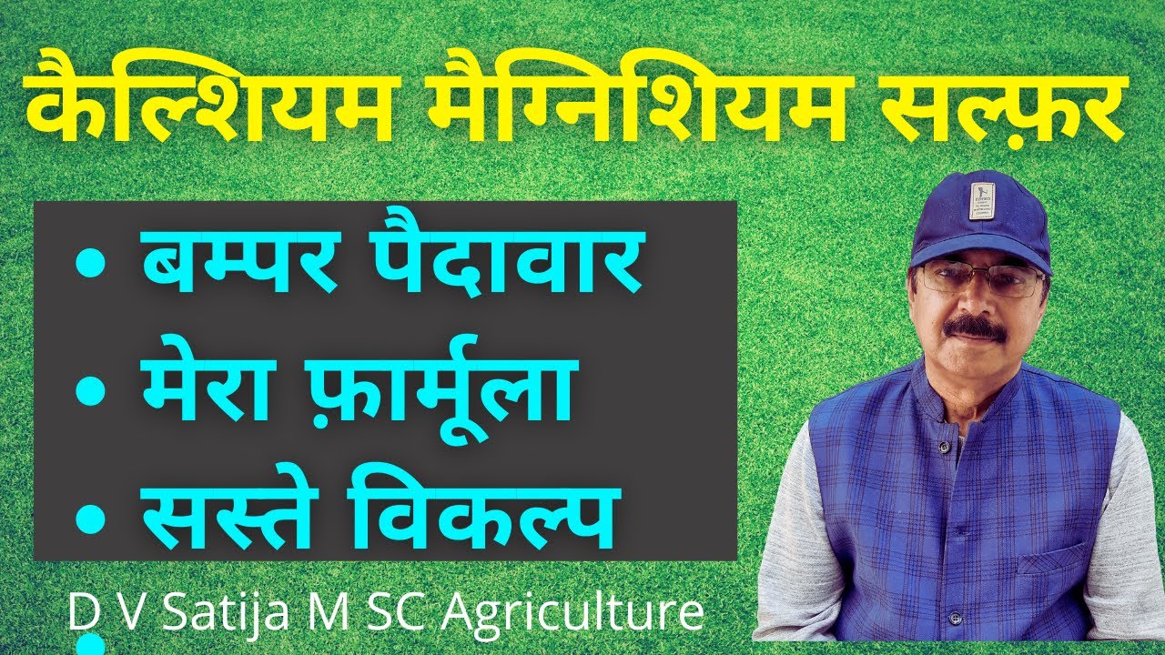 Role of calcium, magnesium  and sulphur  in chlorophyll and photosynthesis of plant