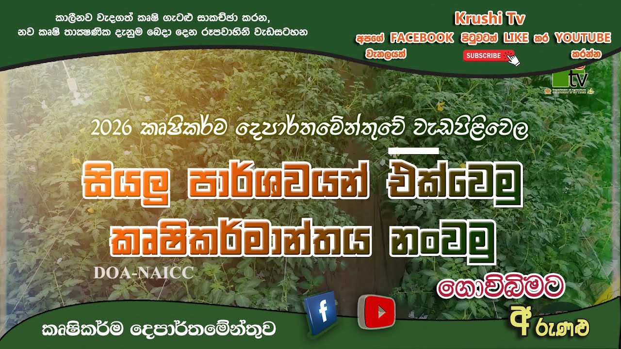 2026 කෘෂිකර්ම දෙපාර්තමේන්තුවේ වැඩපිළිවෙලක සියලු පාර්ශවයන් එක්වෙමු| 2026-01-25 | Krushi TV