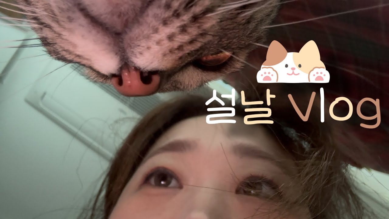 [Vlog] 3kg증량 설날 브이로그 I 몬트쿠키두쫀쿠 I 용산봉숭아 I 용산오뎅