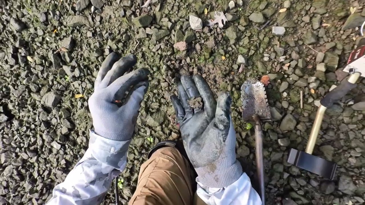 Metal Detecting with Tesoro Compadre on NY Foreshore for first time.