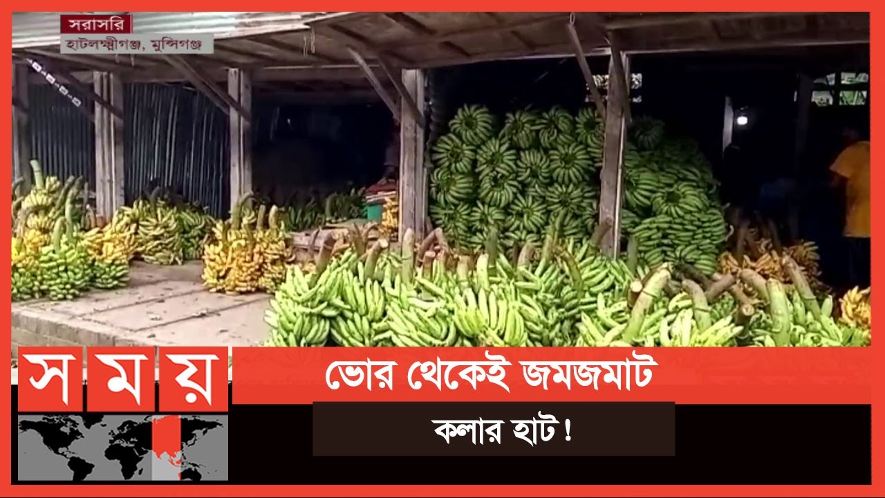 নানা রকম কলায় ভরপুর মুন্সিগঞ্জের হাটলক্ষ্মীগঞ্জের কলার হাট | Banana Market | Munshiganj | Somoy TV