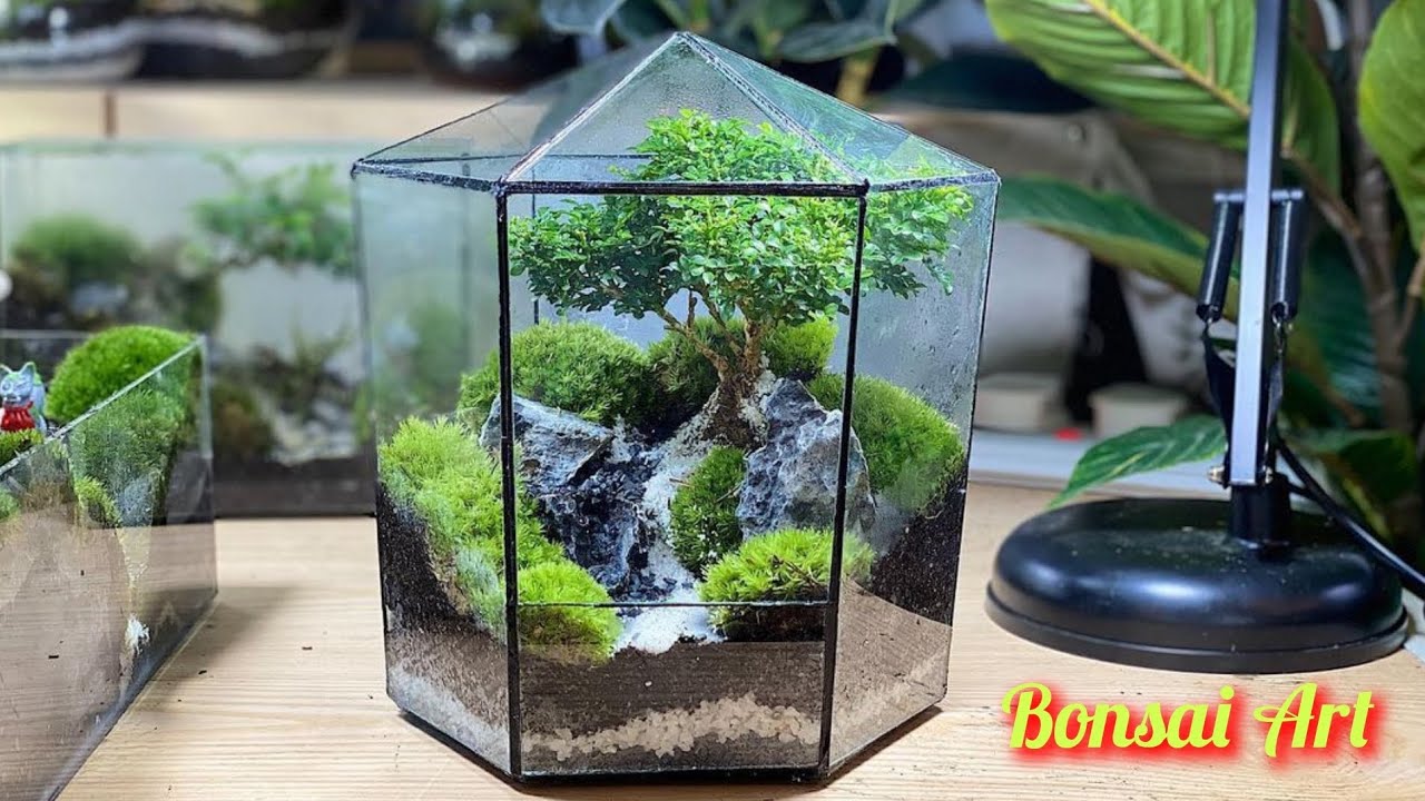 make a mini garden from moss and wood roots