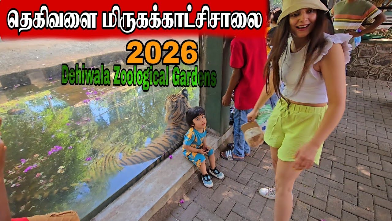 இலங்கையின் பிரசித்தி பெற்ற மிருகக்காட்சிசாலையின் தற்போதைய நிலைThe Sri Lanka's famous zoo😱2026