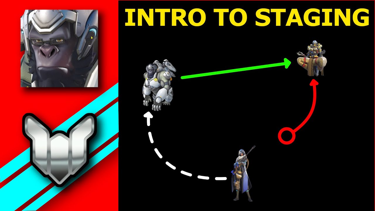The Basics of Staging (Platinum Winston VOD review)