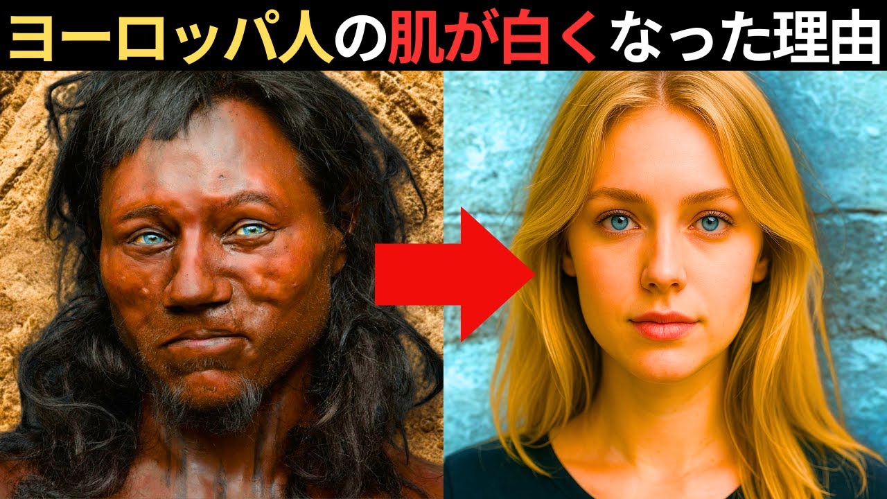 ヨーロッパ人の肌はなぜ白くなったのか？先住民は黒かった？白い肌はどこから？アジア人との違いとは？