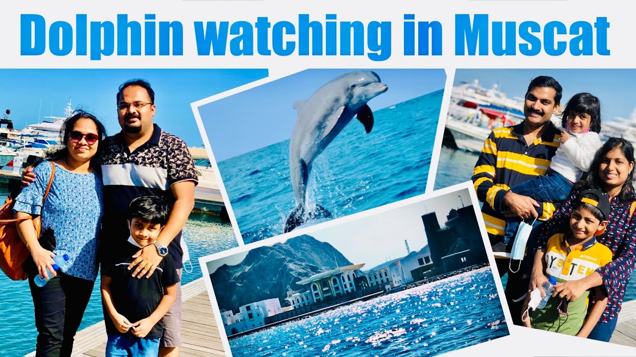 Dolphin watching oman muscat 🐬  #muscat sea tour | oman malayalam vlog | Muscat vlog malayalam #oman