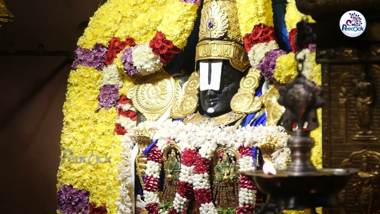 Tirumala Tirupati Devasthanam Temple | Chennai | T.Nagar | 2022 | #திருப்பதி #சென்னை #வரதராஜபெருமாள்